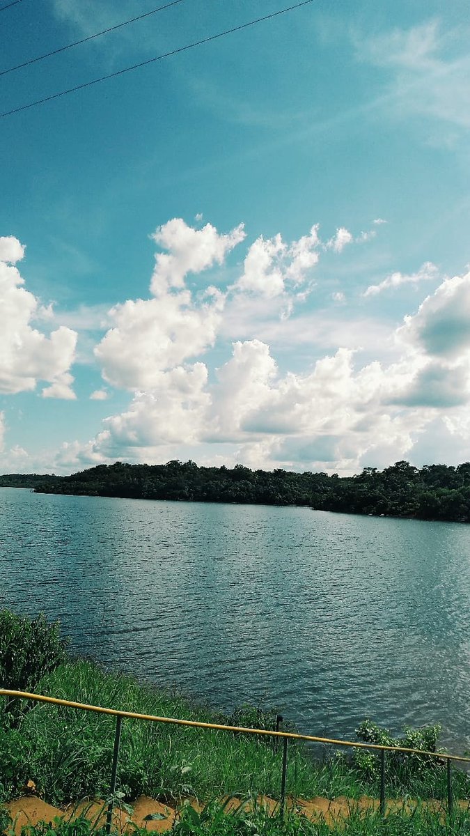 mad #GREENRED 🪭 tweet media