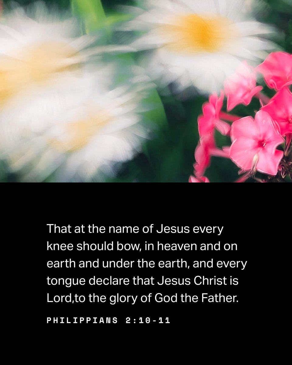 YouVersion Bible App tweet media