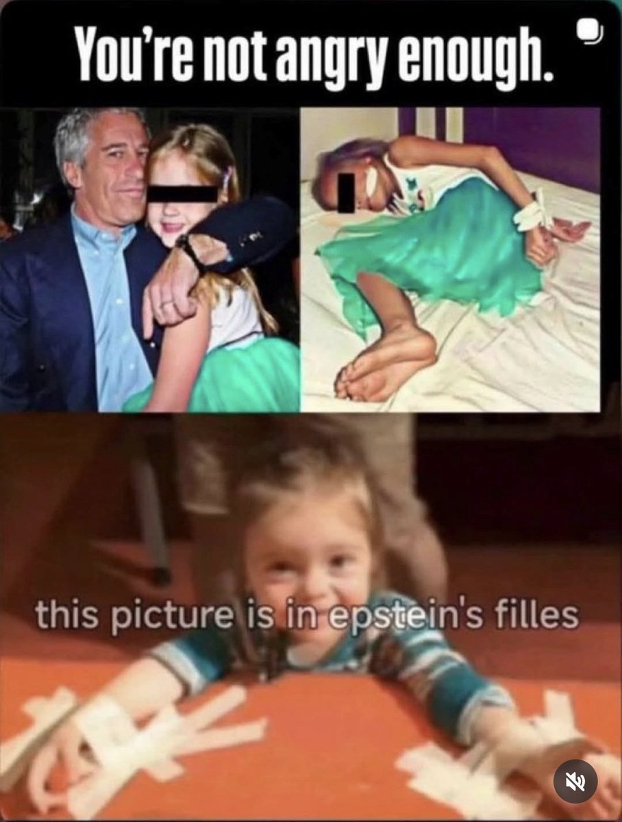 T. Bernadetti tweet media