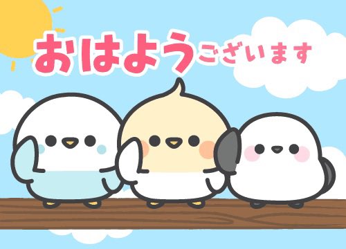 波多野 篤 tweet media