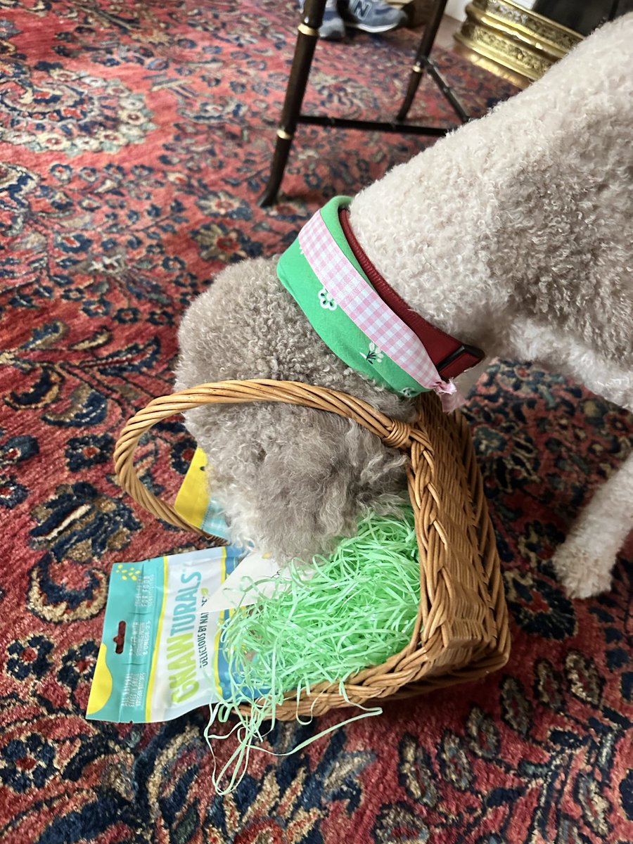 David Cranmer Underdown tweet media