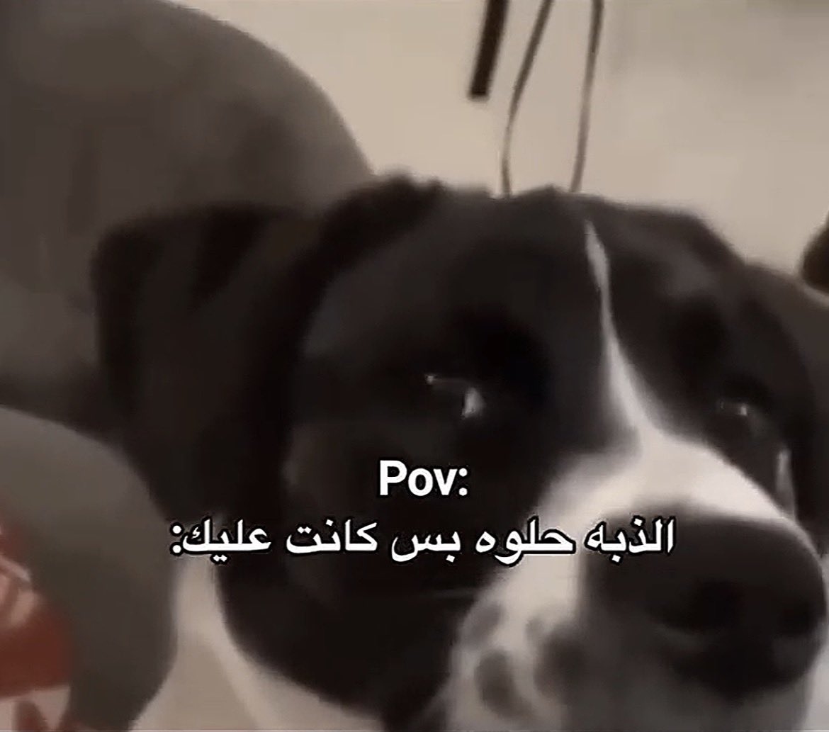 أسامه tweet media