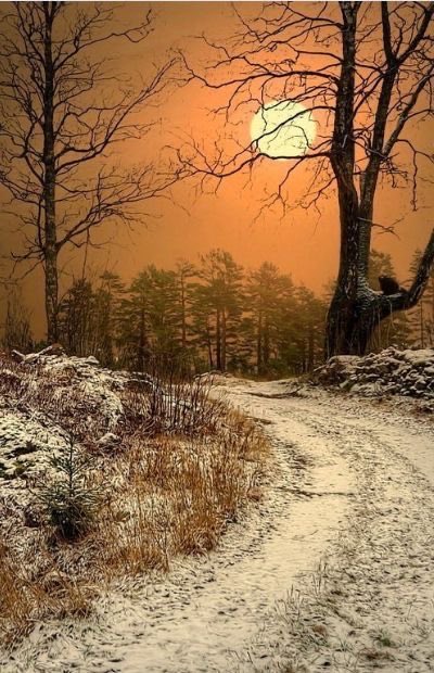 KatanaHugo's tweet image. Goodnight everyone !!
Photos #night #goodnight #moonlight