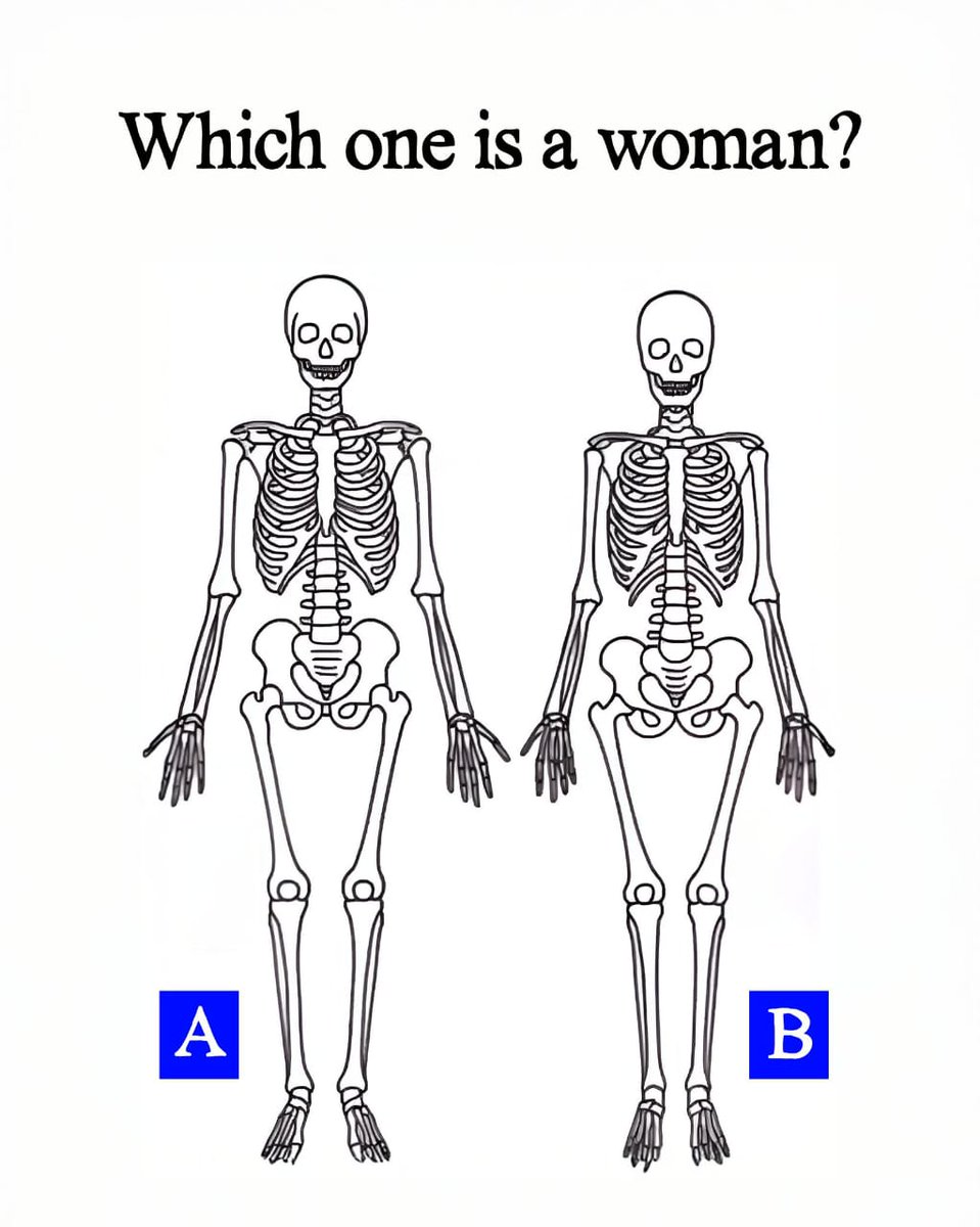 Josephine tweet media