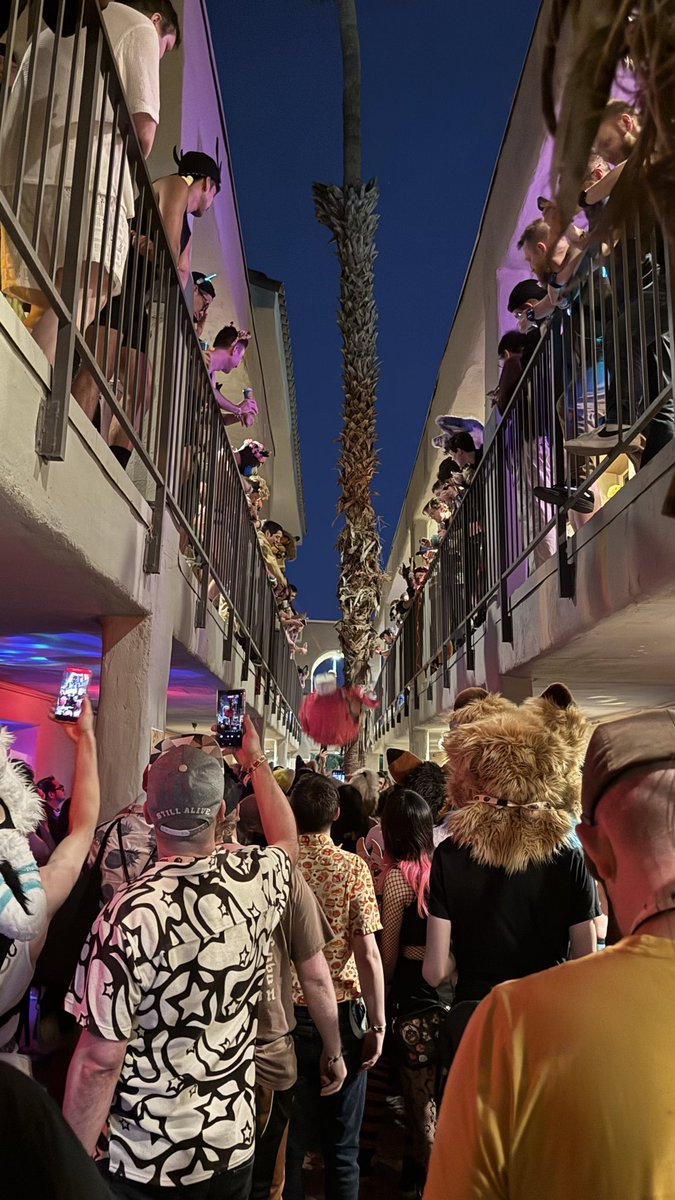 Flux CruxOtt @ LVFC tweet media