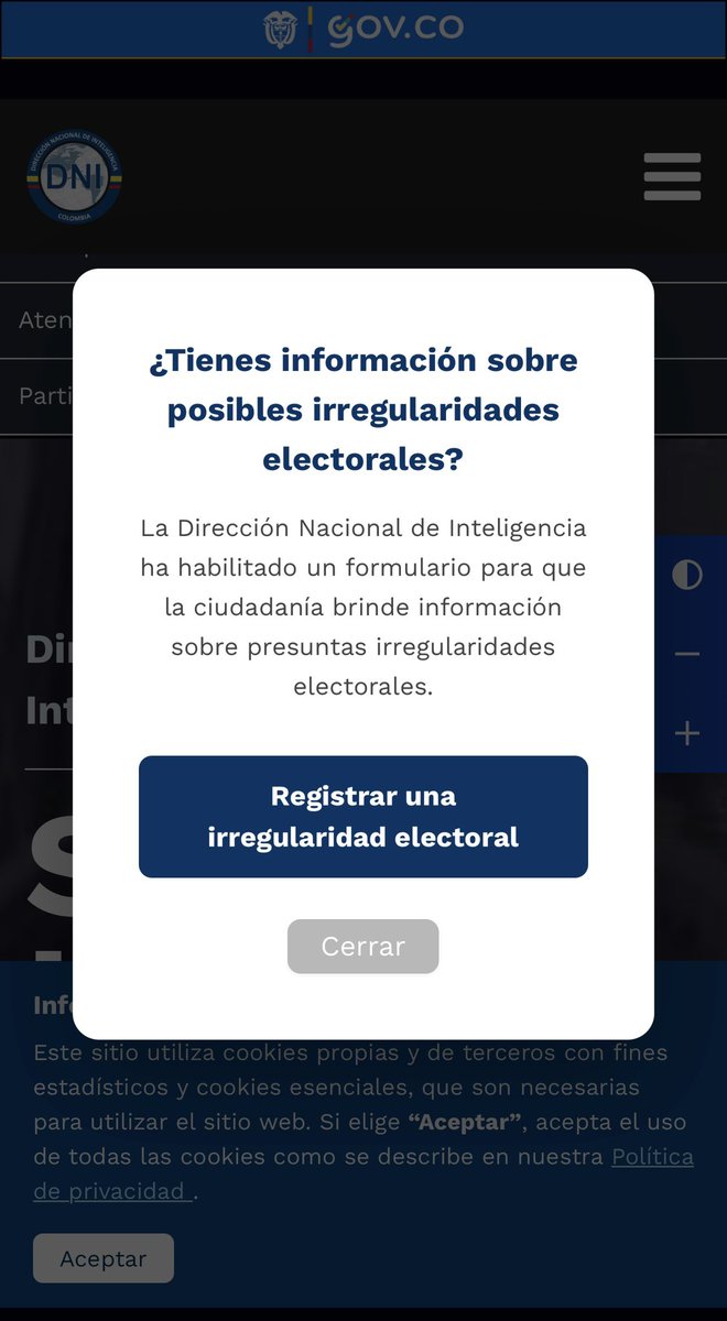 Ani Abello tweet media