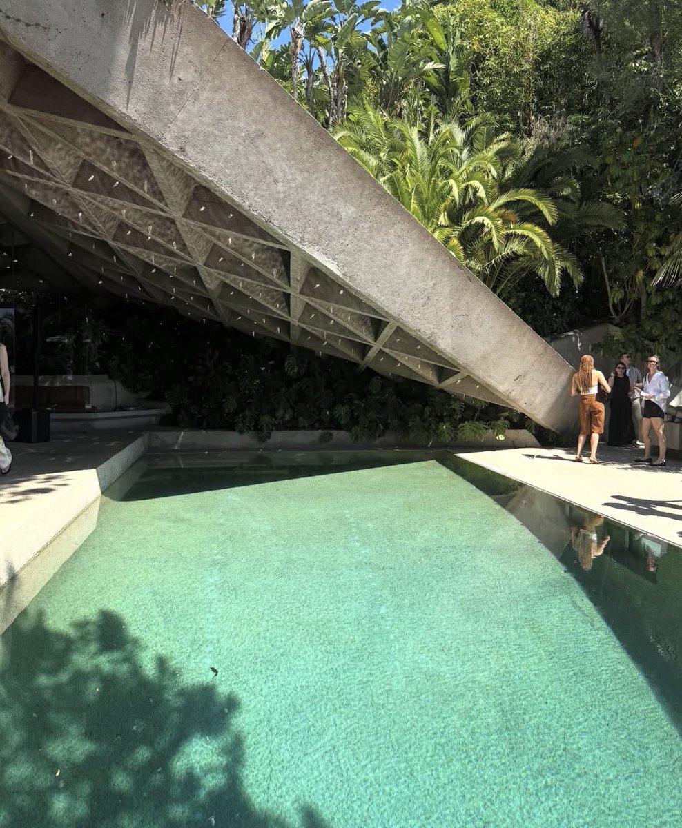 Nikolai (new 📌) tweet media