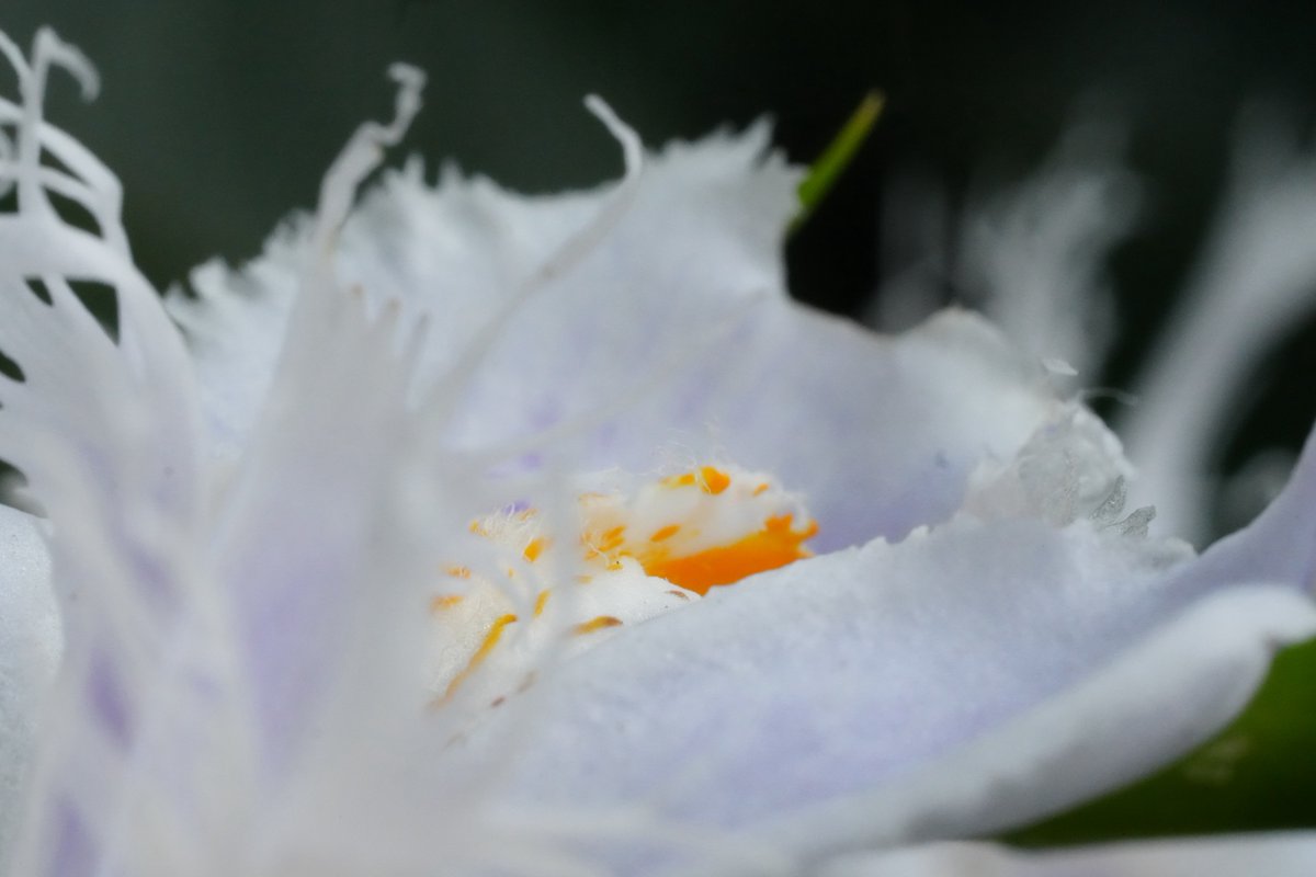 んなぁちゃん tweet media