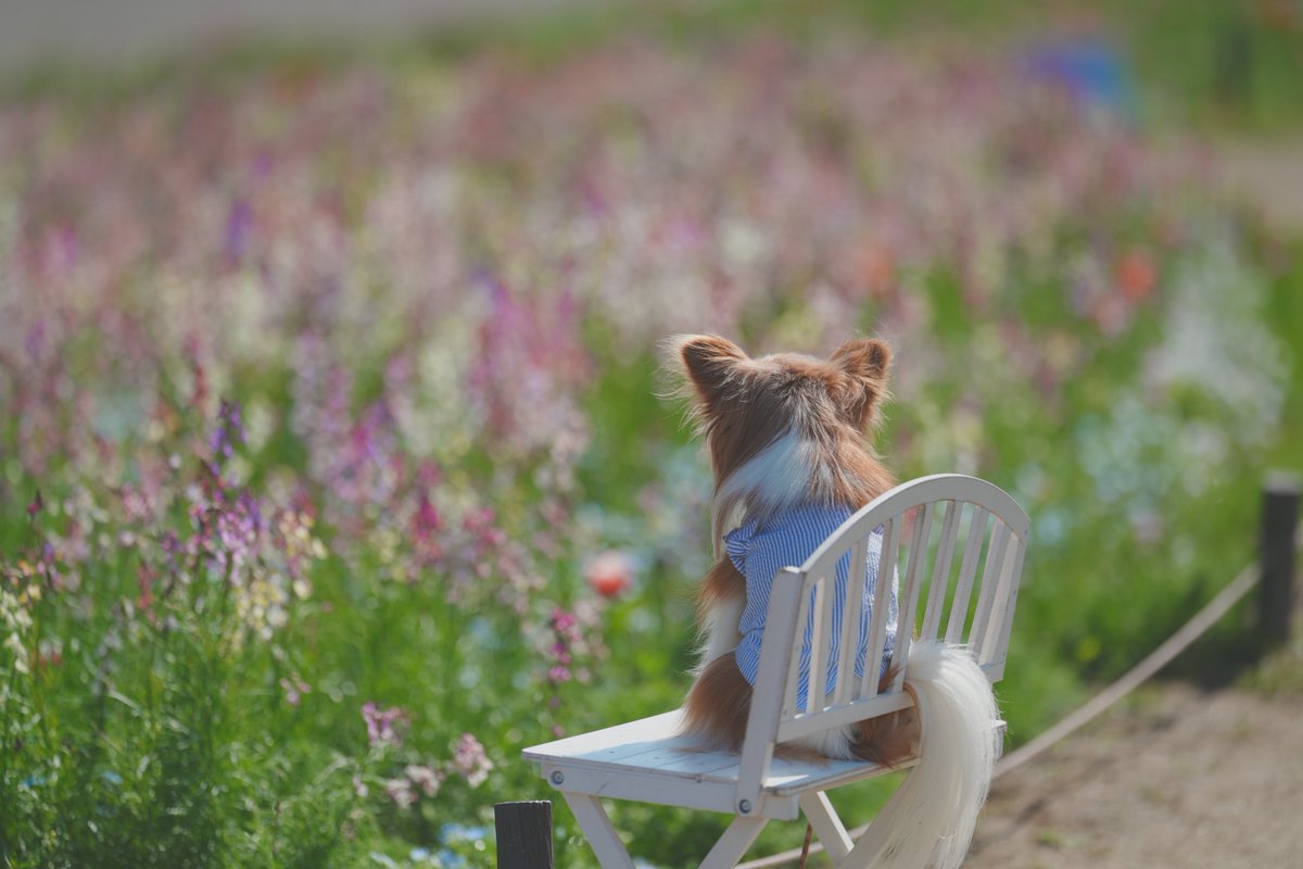 んなぁちゃん tweet media