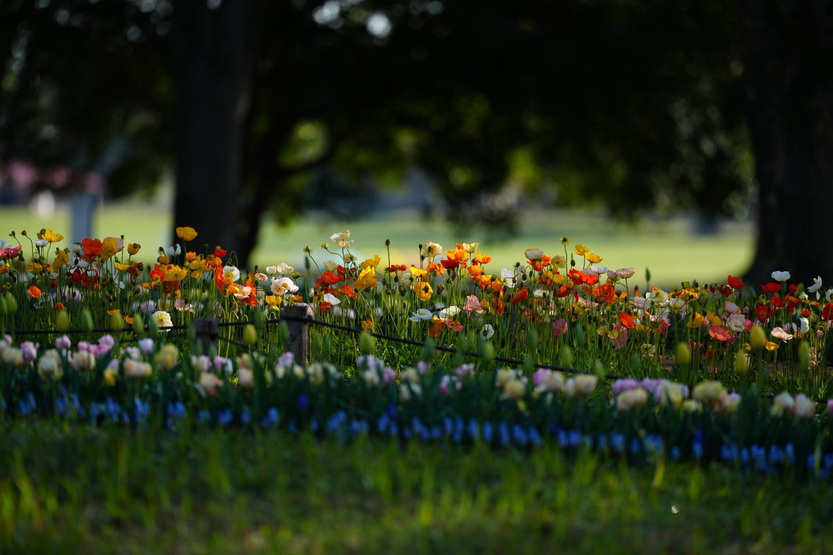 んなぁちゃん tweet media