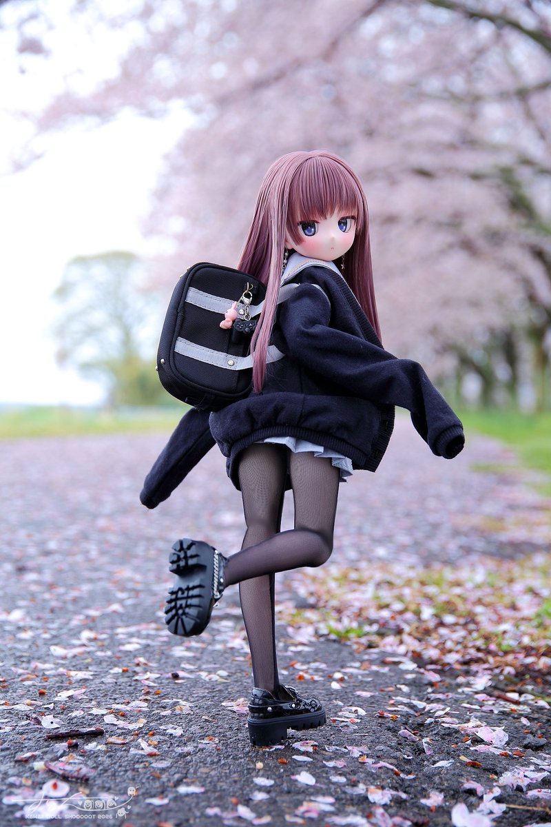 Su☆ToN(すとん) tweet media