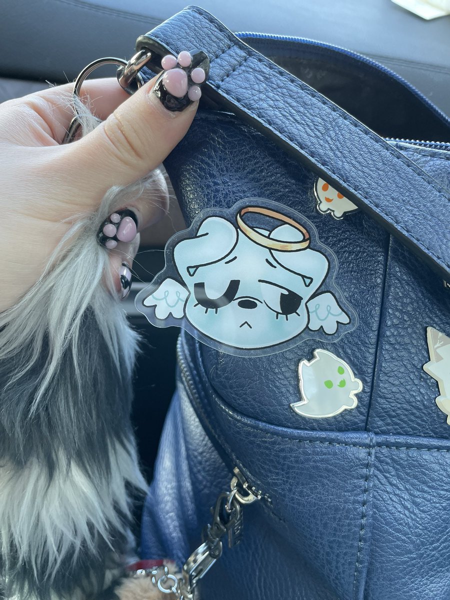 Teddy🐶🔜FUR EH tweet media