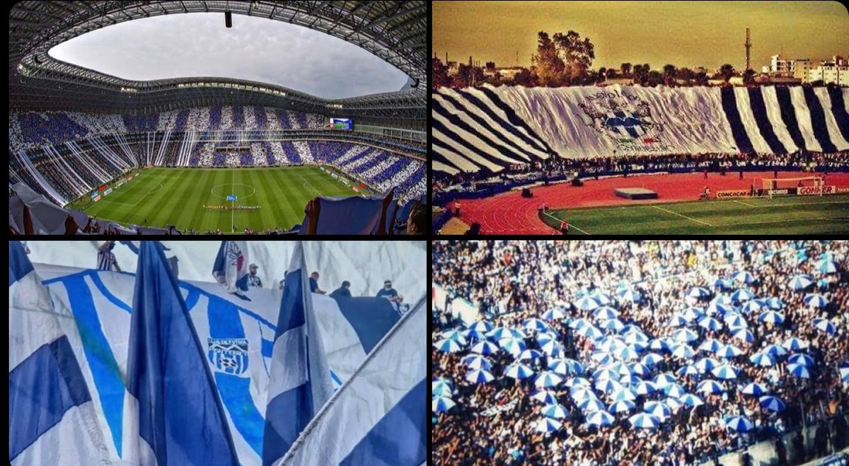 🐻OSO MONTERREY CFM⚽️🏴󠁧󠁢󠁳󠁣󠁴󠁿 tweet media