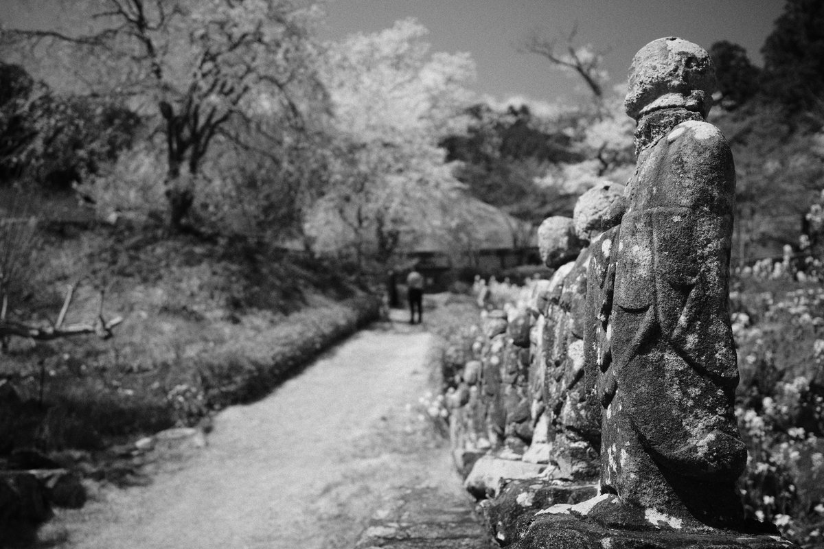 んなぁちゃん tweet media