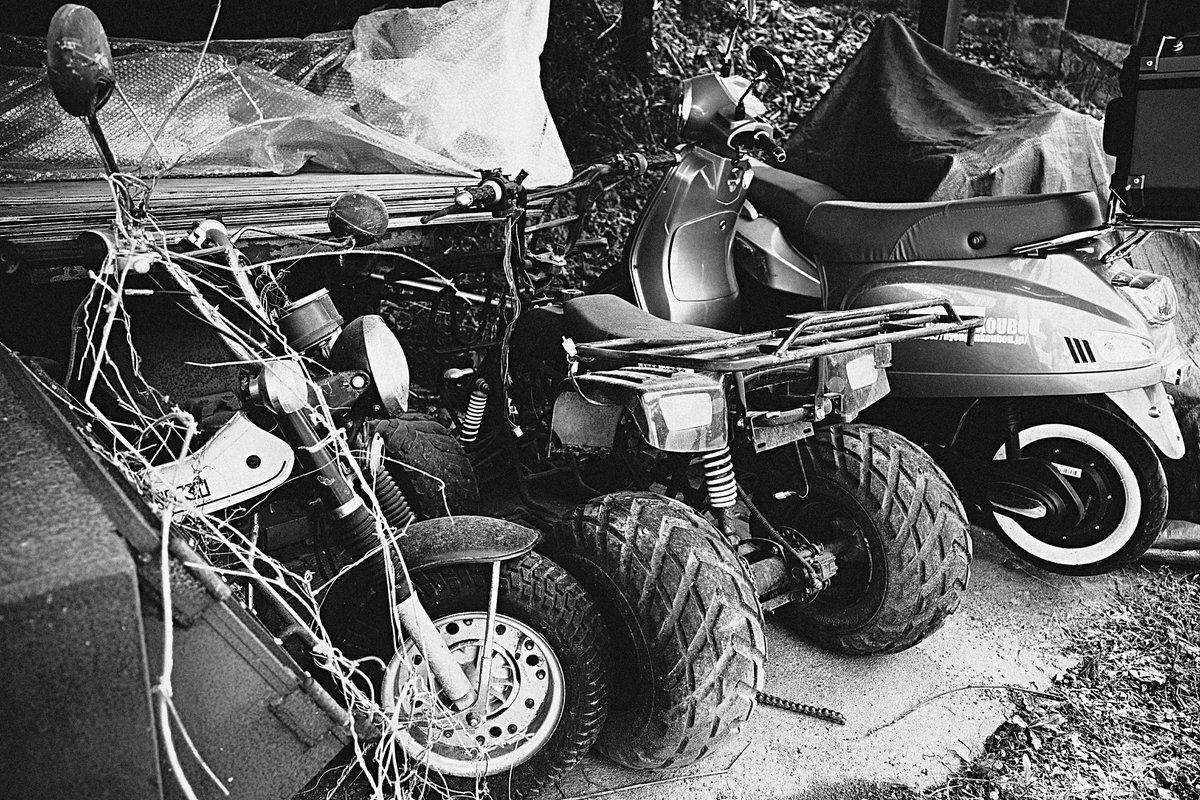 んなぁちゃん tweet media