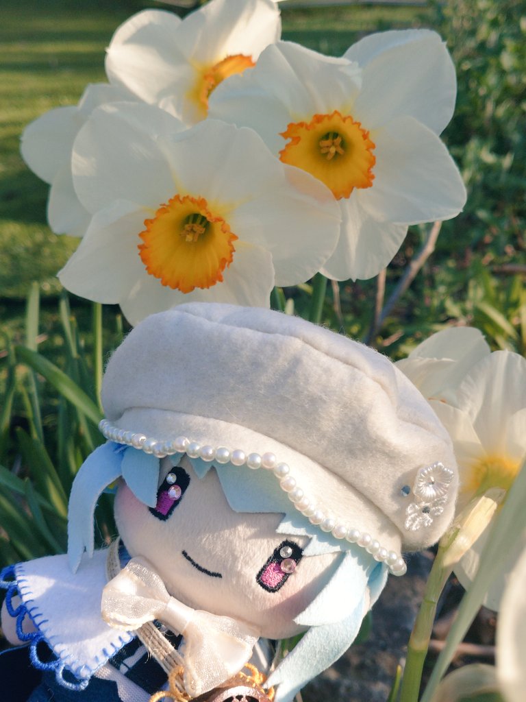 星くず‎✮⋆˙@手芸垢🪡🧵 tweet media