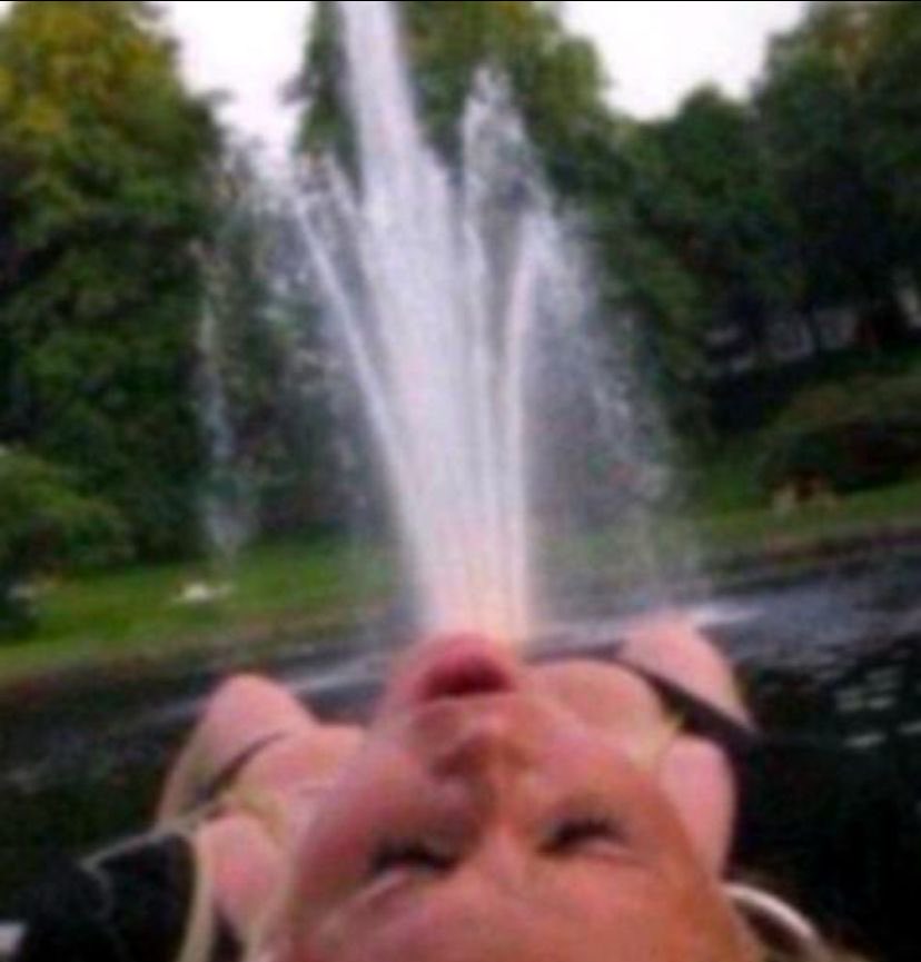 𝒏𝒆𝒐𝒎 ⍣🦋 tweet media