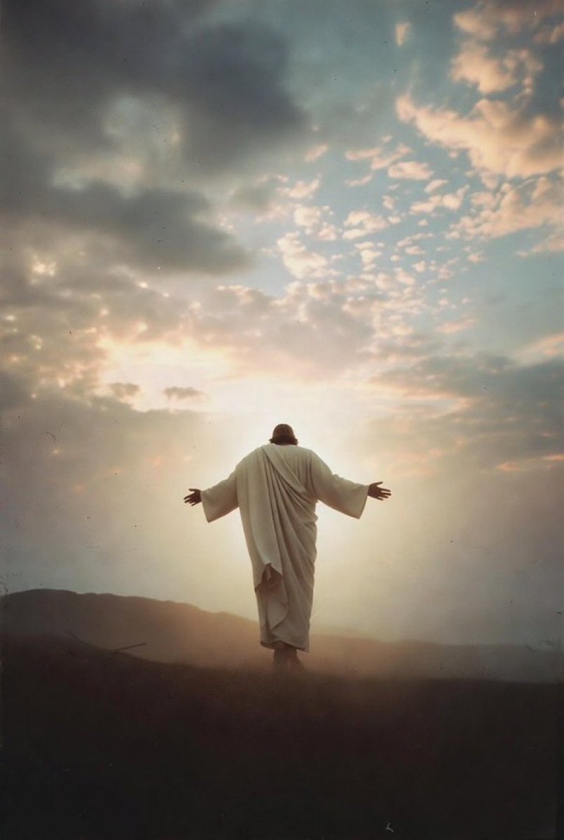 American Citizen 🇺🇸 tweet media