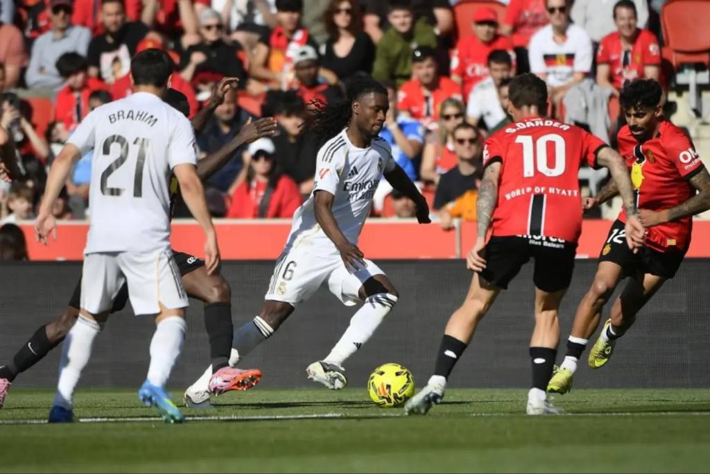 شبكة RM4Arab tweet media