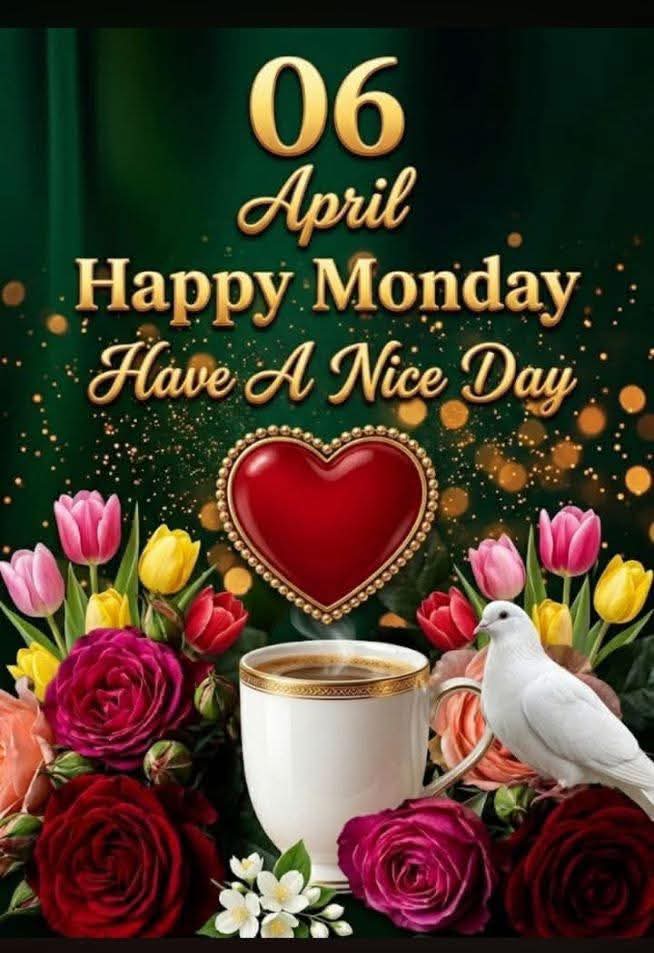 Сури🅰️ 🥰💙💞💚💛💟 tweet media