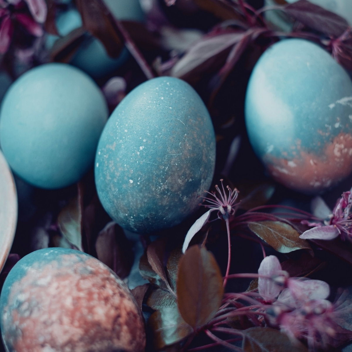 CourtyardKodak's tweet image. Planning an Easter trek to the Smokies? 🐣 

Avoid the holiday hustle and stay at the Gateway. Enjoy fresh breakfast at The Bistro and quick access to all the Sevierville festivities. 🏔️✨

Book your holiday retreat: bit.ly/4dw6GyB

#Sevierville #Smokies #EasterTravel"