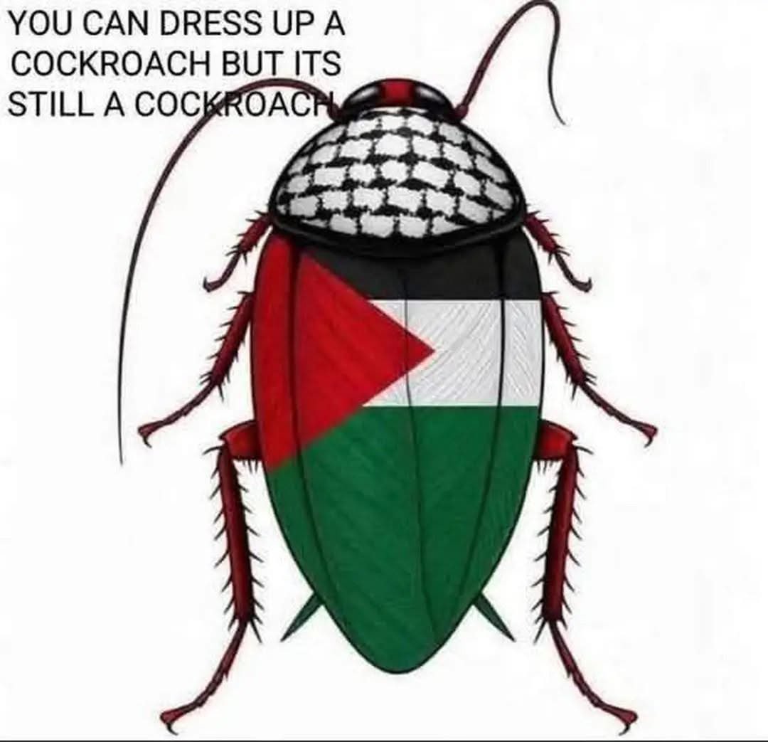 Krønstejn ✡️🏴󠁧󠁢󠁥󠁮󠁧󠁿🇺🇦🦁 tweet media