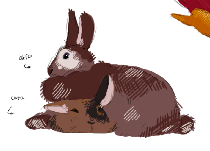 Nikit✪! || Anataya's lᰔver~ ♥︎ tweet media