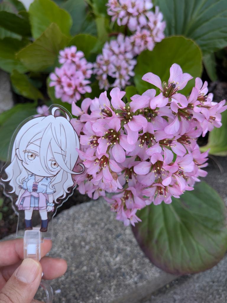 とくじぃ（マレーちゃん） tweet media