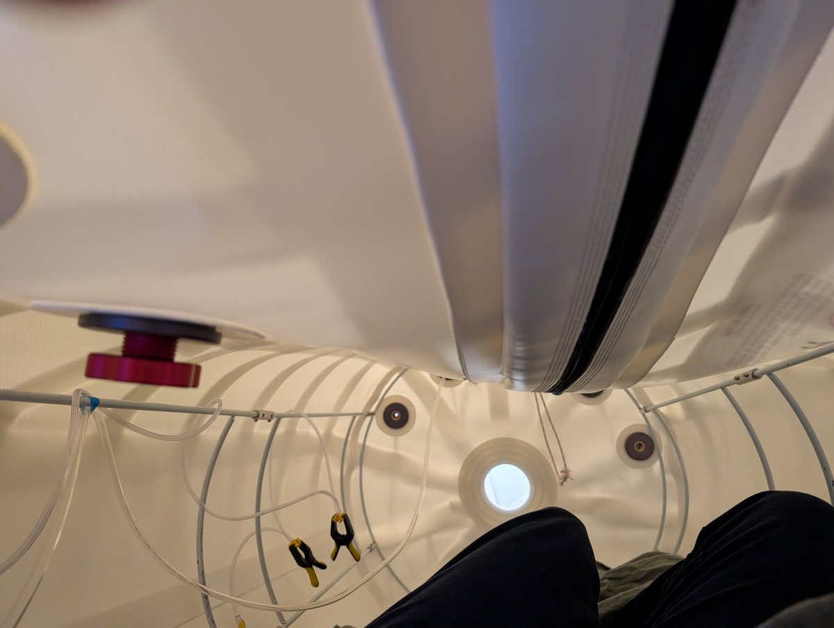 Prince Vogelfrei 🐦‍⬛ tweet media