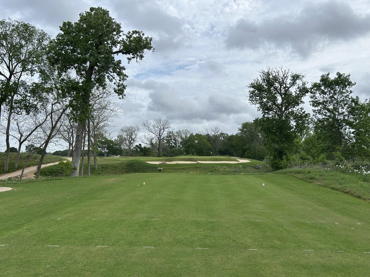 No Divots tweet media