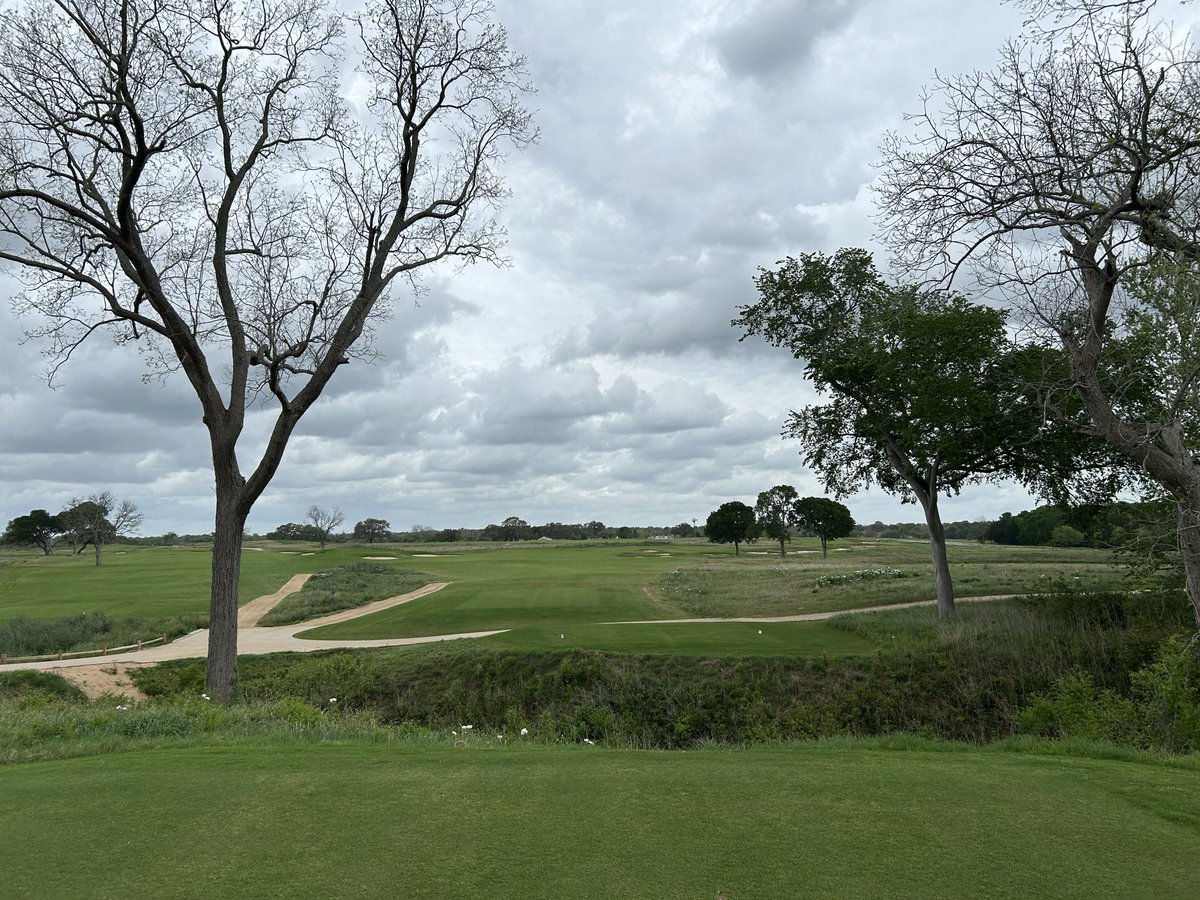 No Divots tweet media