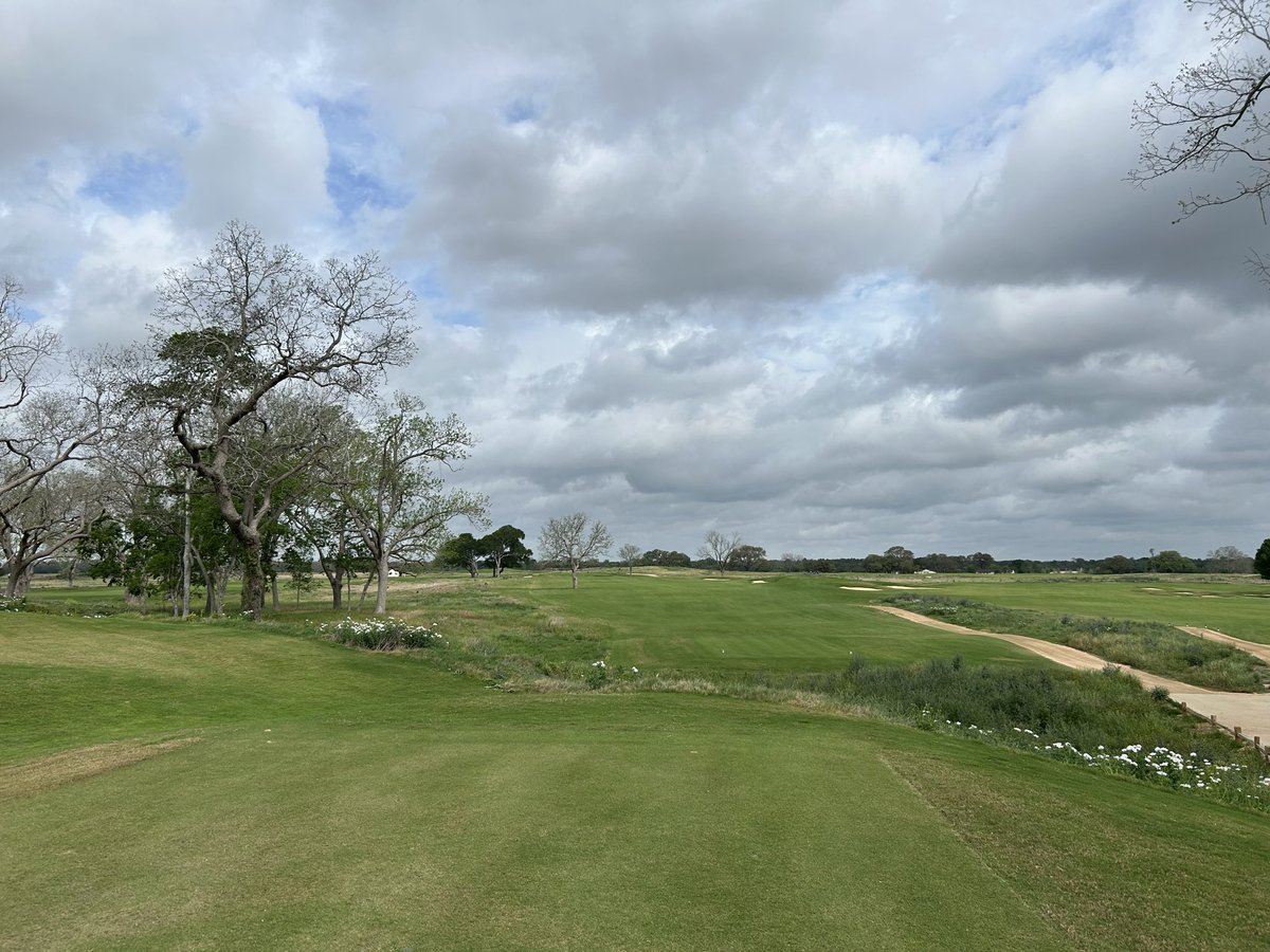 No Divots tweet media