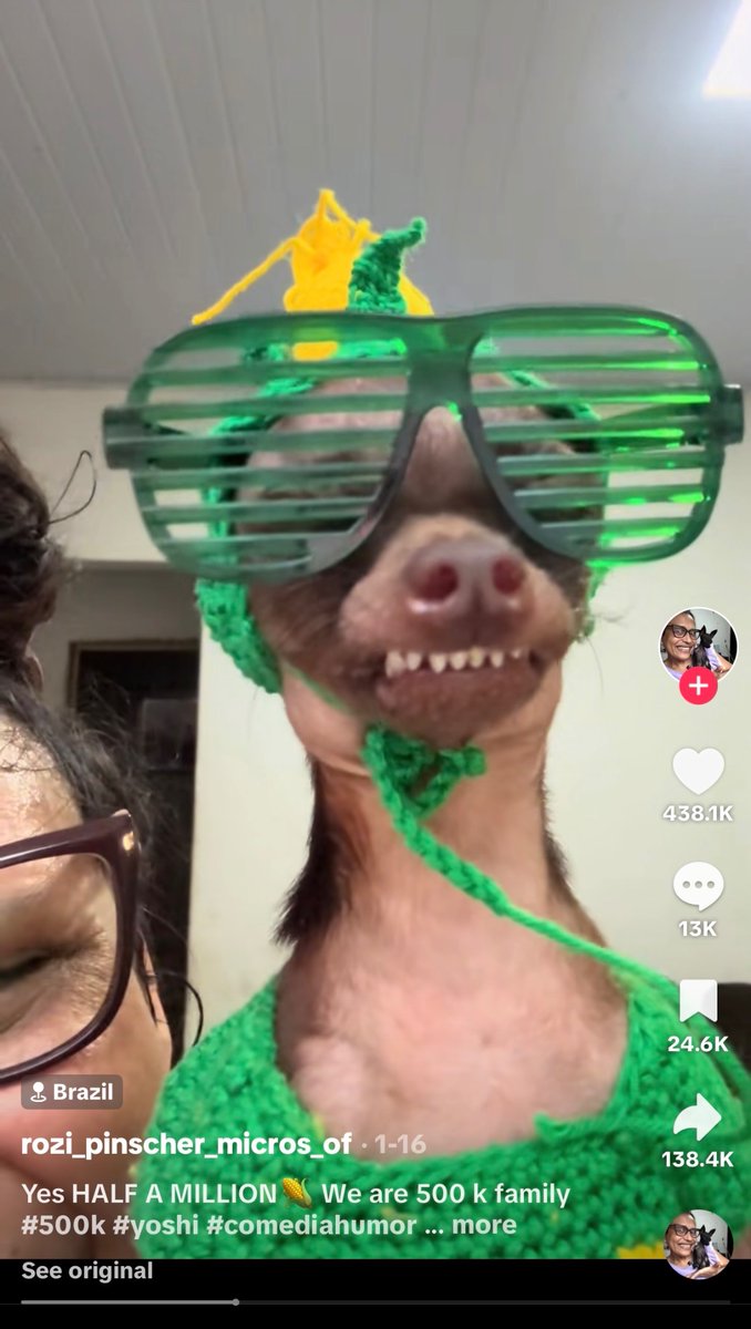 CaPiTaL1 tweet media