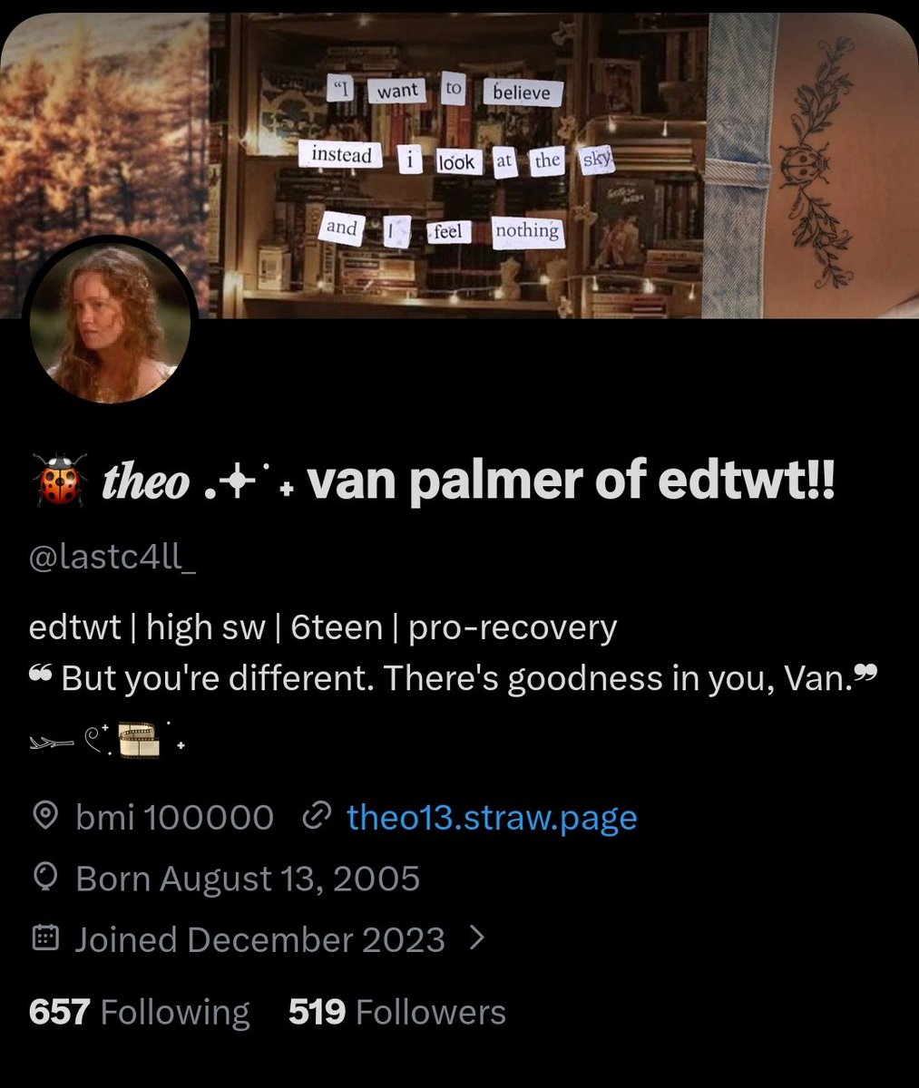 🐞 𝒕𝒉𝒆𝒐 .𖥔 ݁ ˖ tweet media