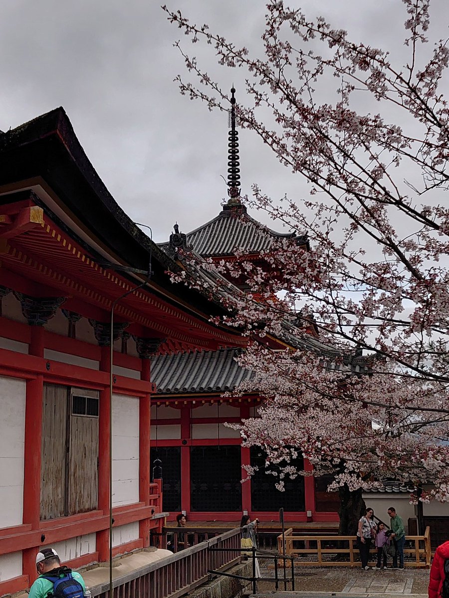 のりたまご tweet media