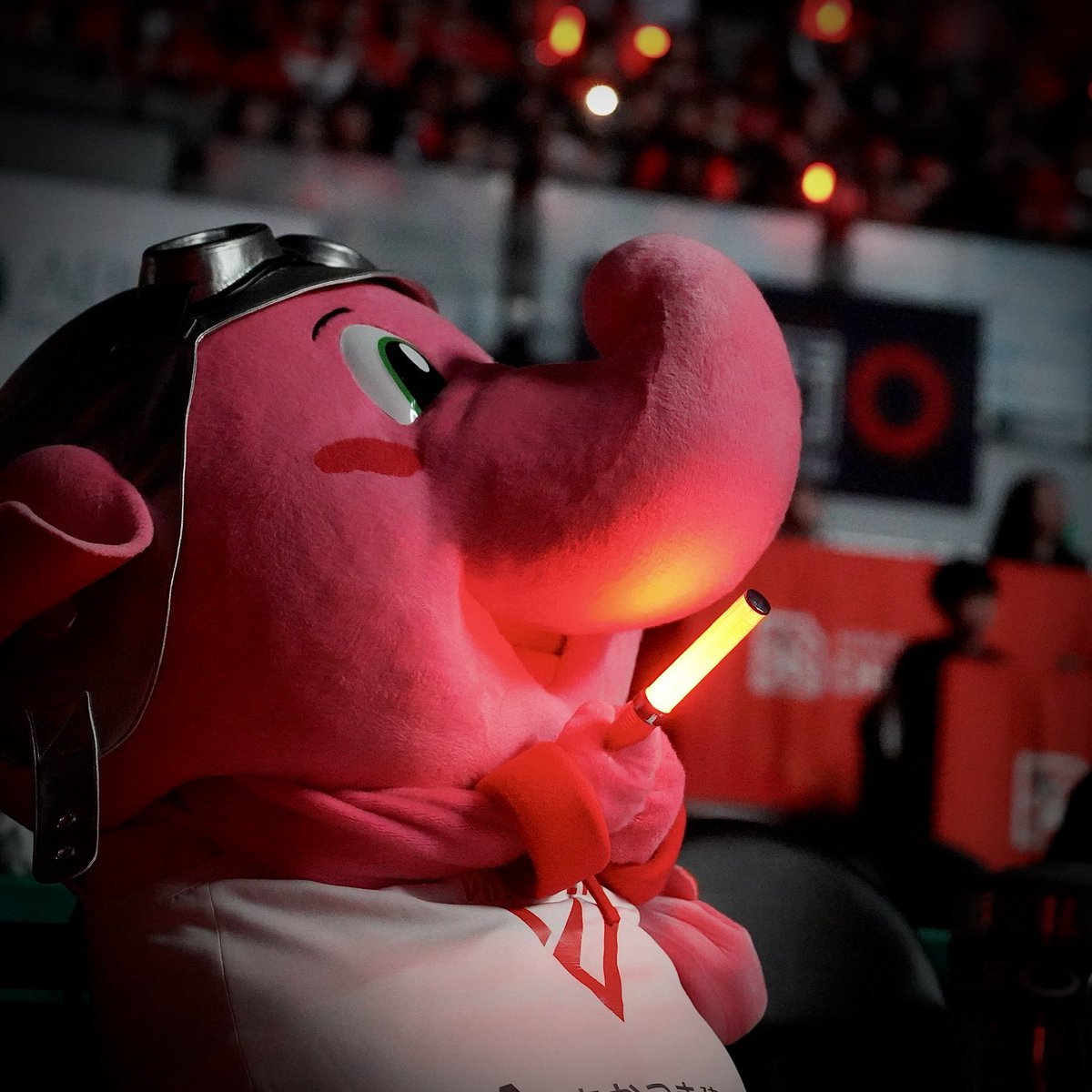 グンモニ。これからもキミお、あかるくてらすヒカリになりたい。るん♪#ジャンボくん #みんなえがおなりますように