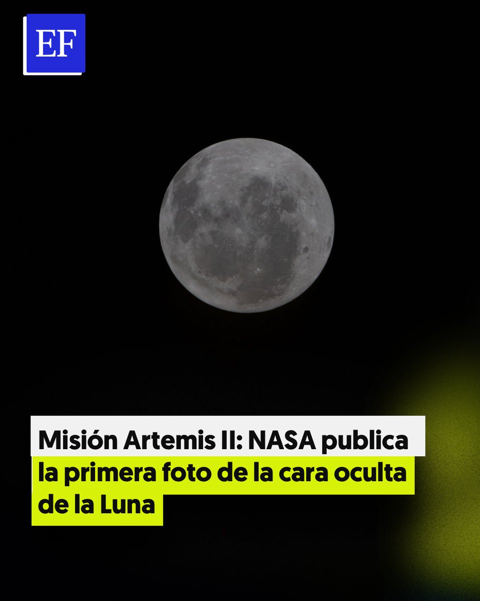 El Financiero tweet media