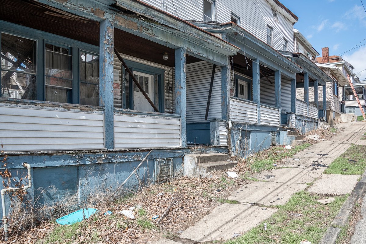 Mr. P. Explores tweet media