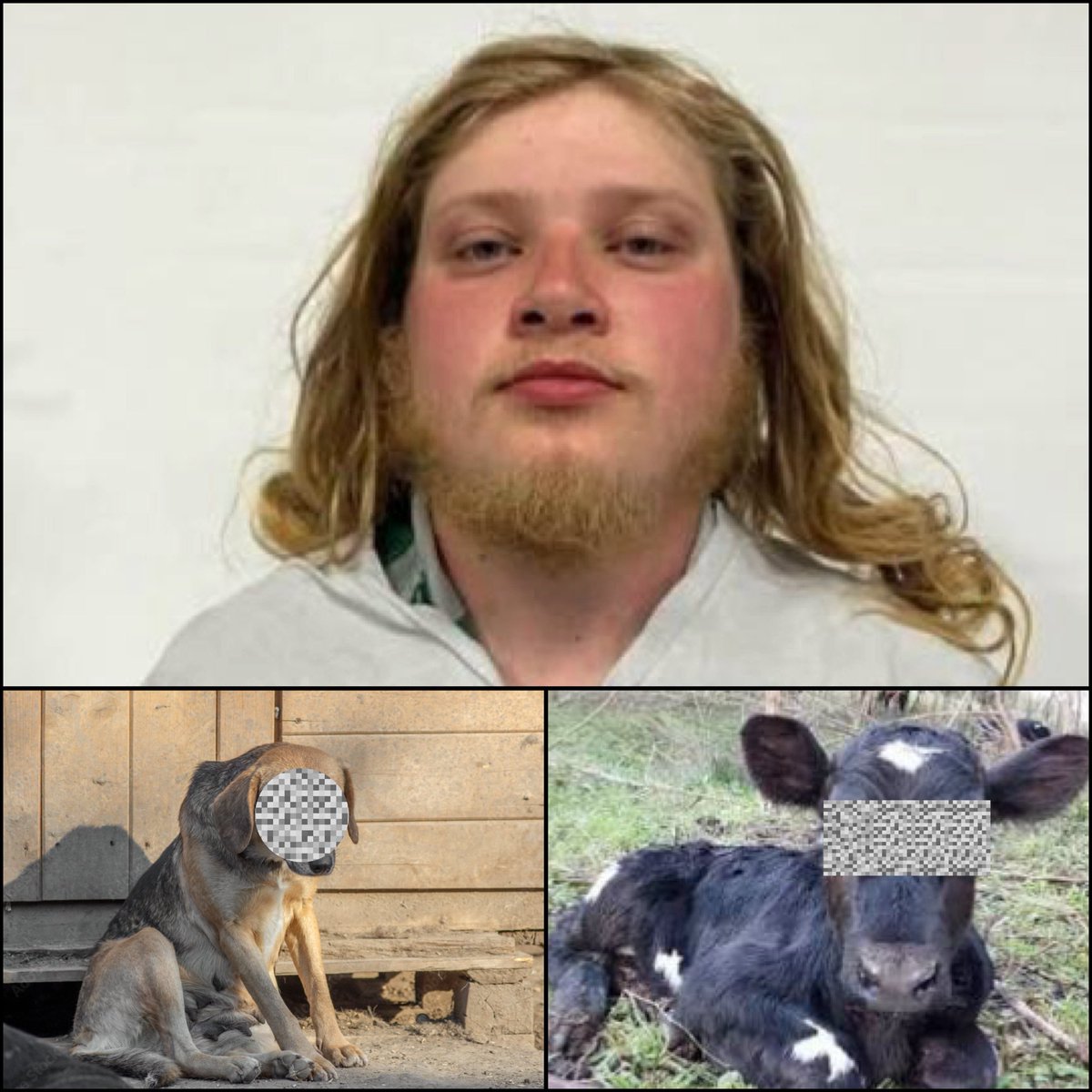 i Report Racism & Child Crimes tweet media