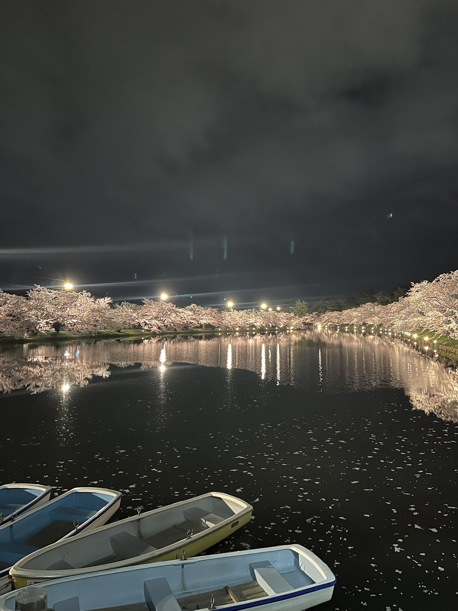 ぷるっぷるなプリン＊🍮🍮 tweet media