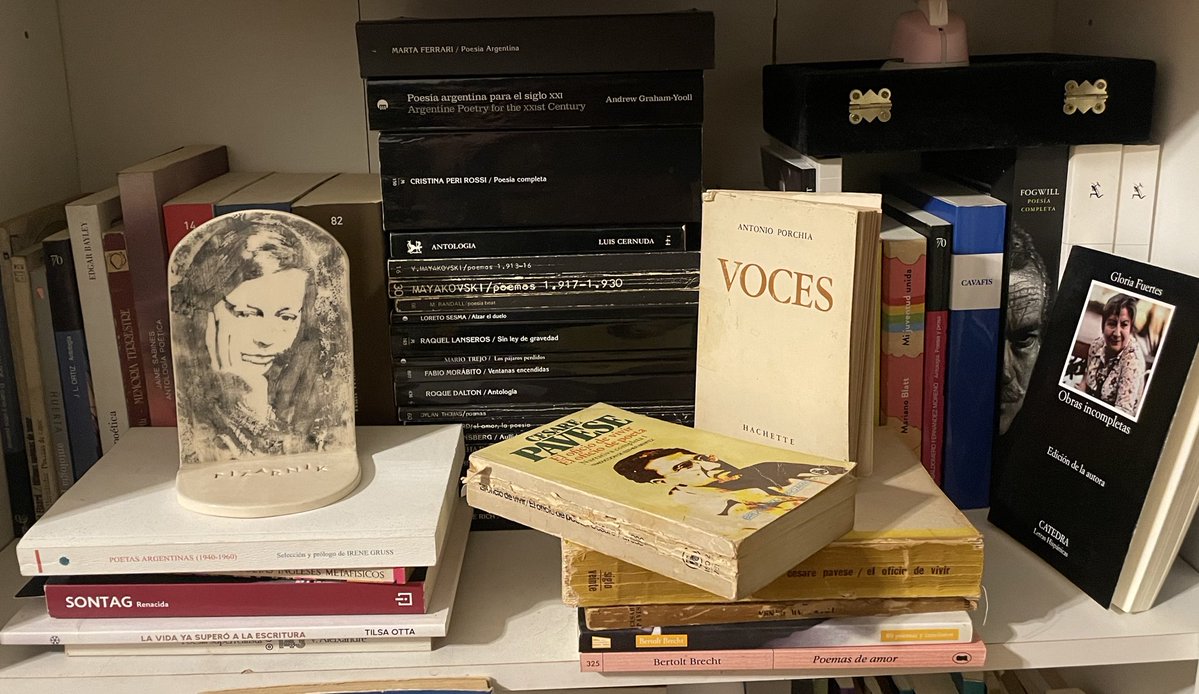 camila mermet tweet media