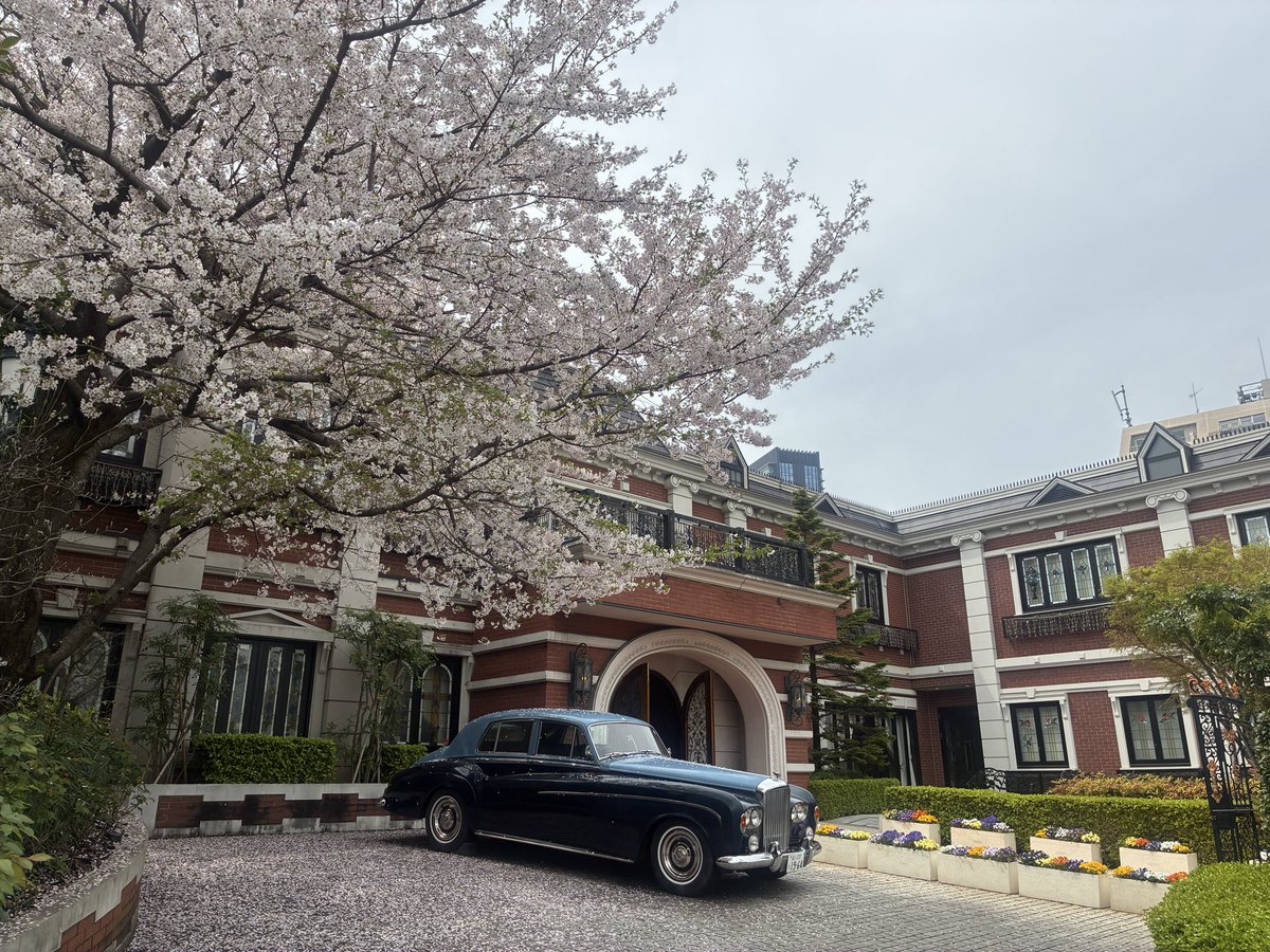 UMA / PHI E推 / Listenbourg出身 tweet media