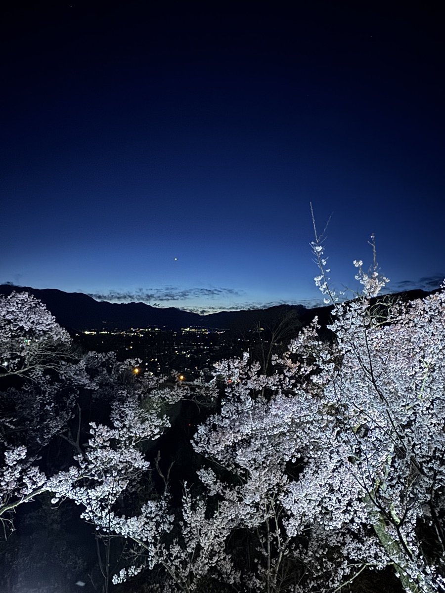 にこ( nico ) tweet media