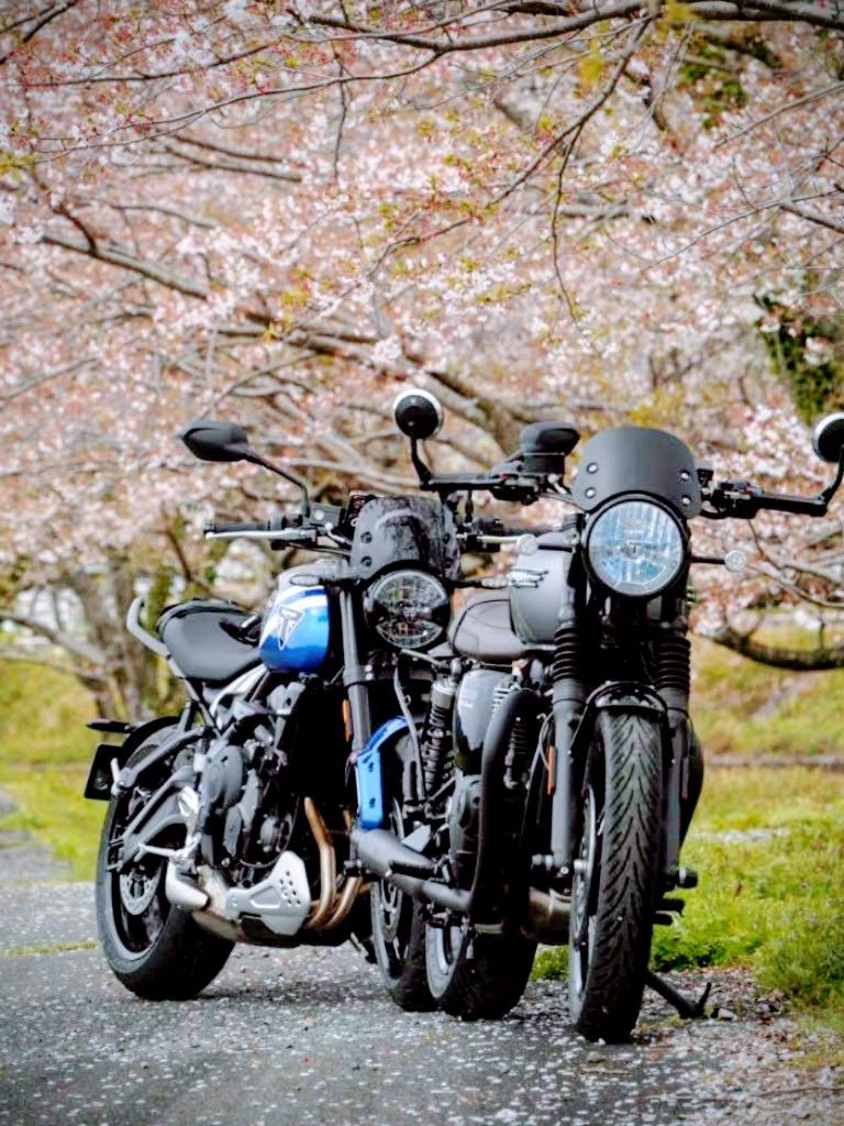 OSAMU🍀 Photo Rider🌈 tweet media