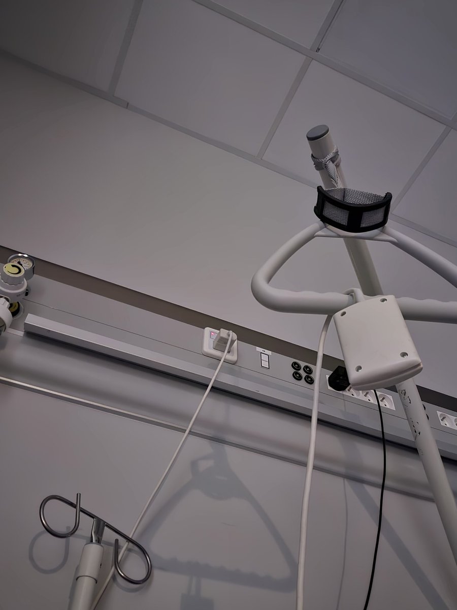 Auri Lunami ☄️🐉 tweet media