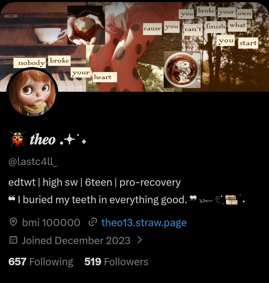 🐞 𝒕𝒉𝒆𝒐 .𖥔 ݁ ˖ tweet media