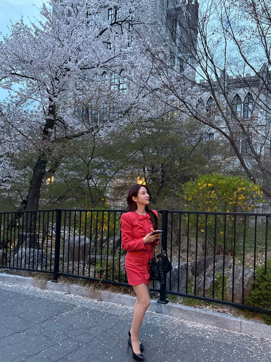 ちー🐰🍀치이 tweet media