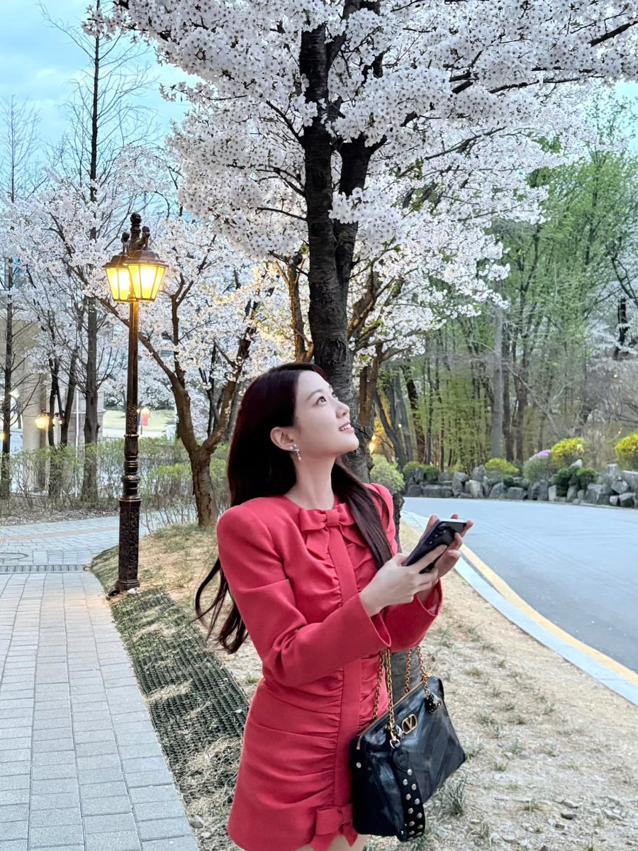 ちー🐰🍀치이 tweet media