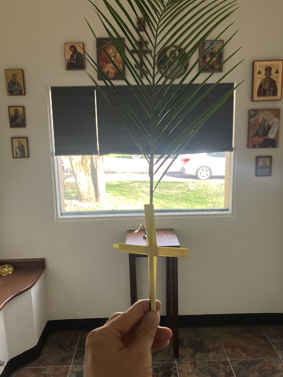 Rogin Kim tweet media