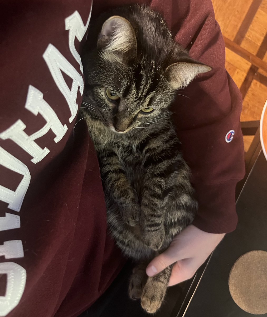 First Triple QuadSid🥇 tweet media